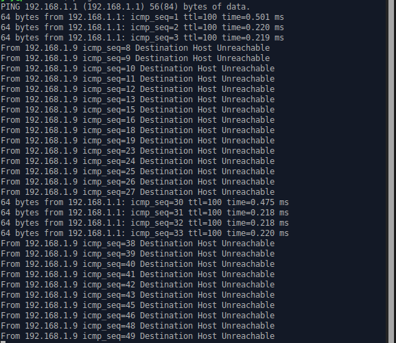 netgear-r7000-ping_check_1.png