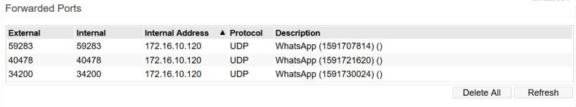 port_forwarding-upnp-forwarded_ports-2023.2.jpg